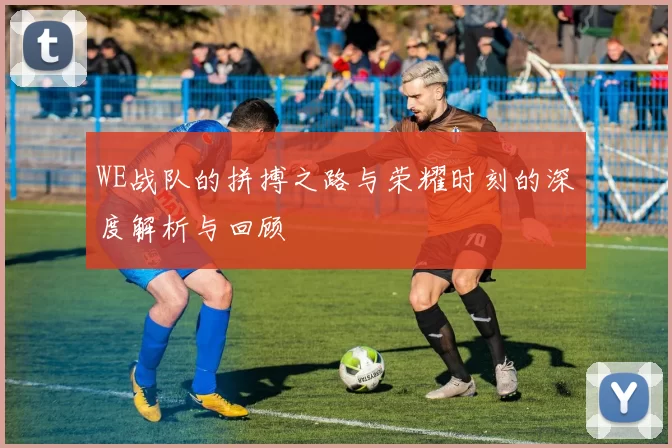 WE战队的拼搏之路与荣耀时刻的深度解析与回顾