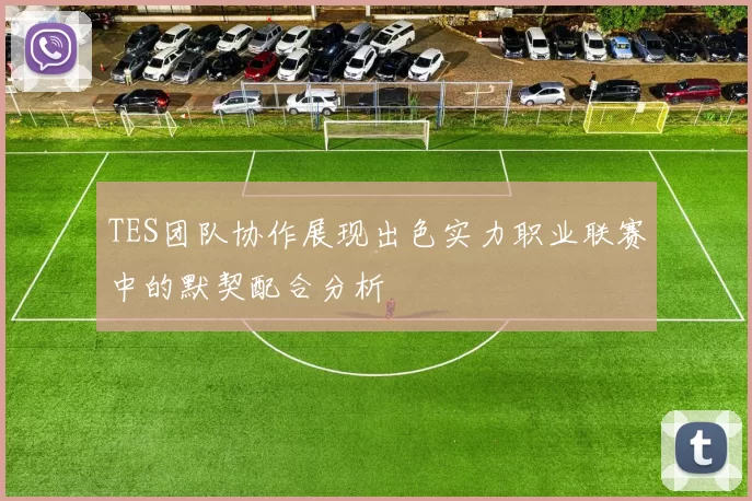 TES团队协作展现出色实力职业联赛中的默契配合分析