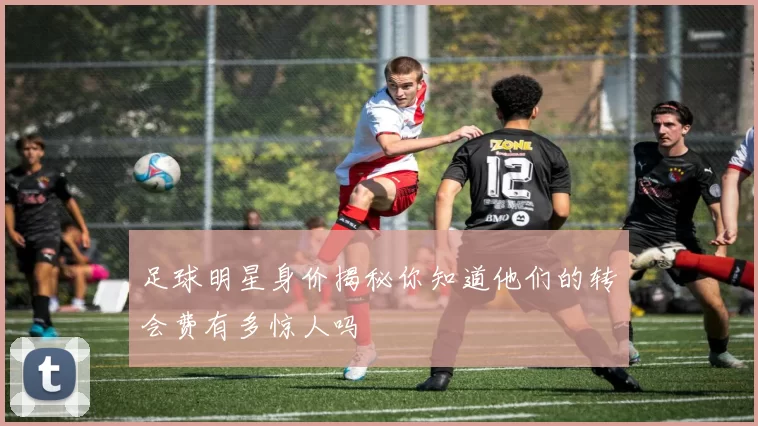足球明星身价揭秘你知道他们的转会费有多惊人吗