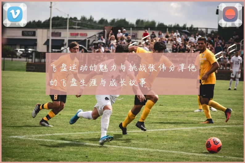 飞盘运动的魅力与挑战张伟分享他的飞盘生涯与成长故事