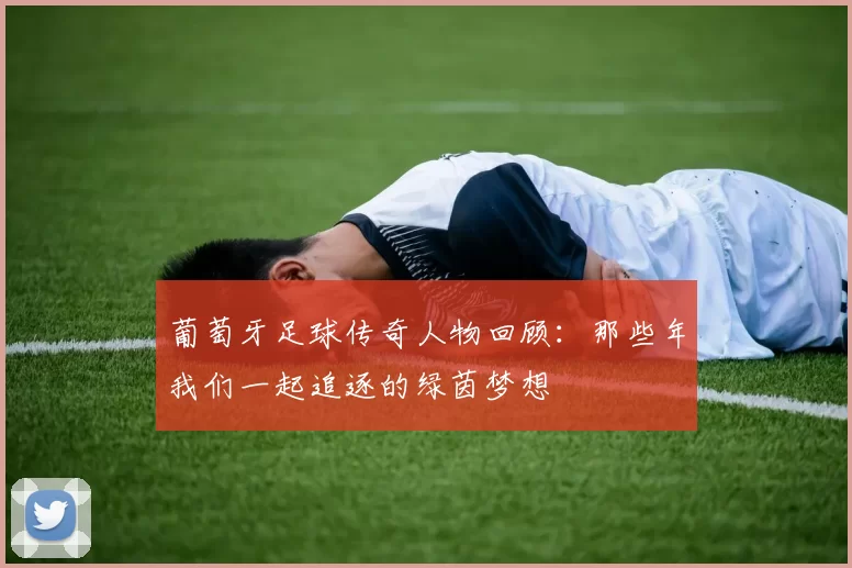 葡萄牙足球传奇人物回顾：那些年我们一起追逐的绿茵梦想