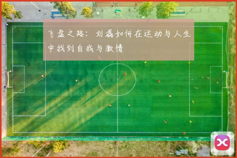 飞盘之路：刘磊如何在运动与人生中找到自我与激情