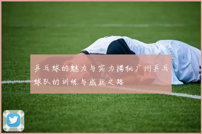 乒乓球的魅力与实力揭秘广州乒乓球队的训练与成就之路