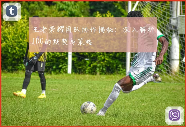 王者荣耀团队协作揭秘：深入解析JDG的默契与策略