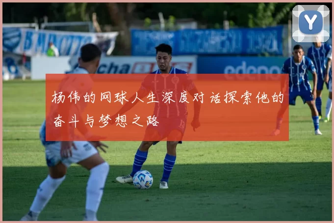 杨伟的网球人生深度对话探索他的奋斗与梦想之路