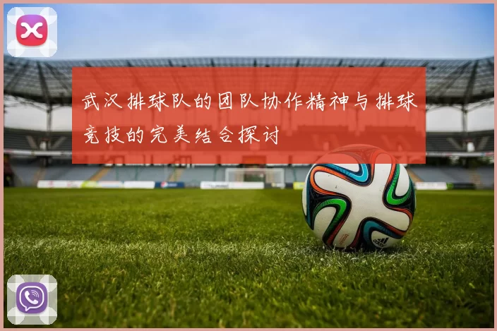 武汉排球队的团队协作精神与排球竞技的完美结合探讨
