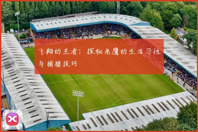 飞翔的王者：探秘老鹰的生活习性与捕猎技巧