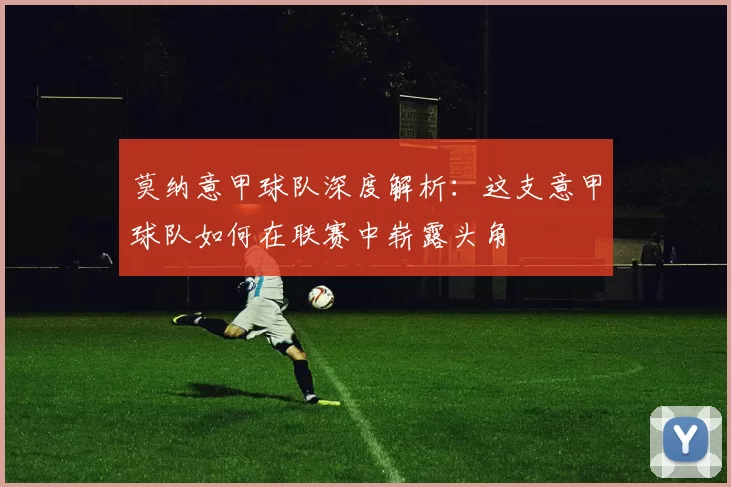 莫纳意甲球队深度解析：这支意甲球队如何在联赛中崭露头角