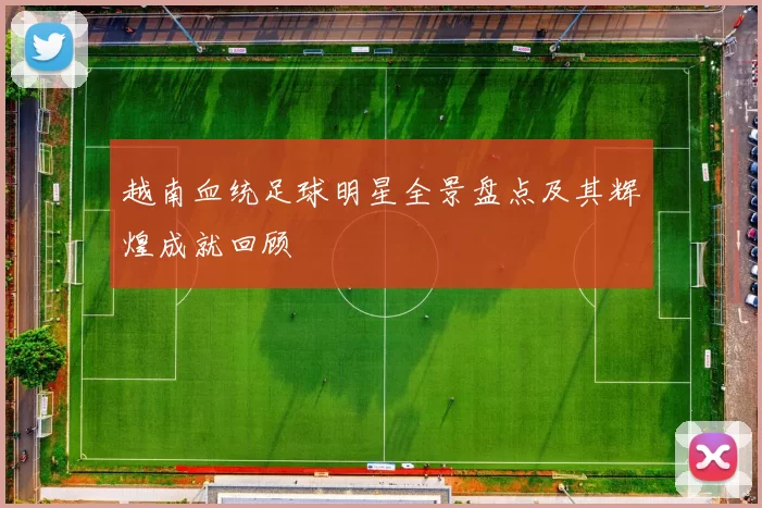 越南血统足球明星全景盘点及其辉煌成就回顾