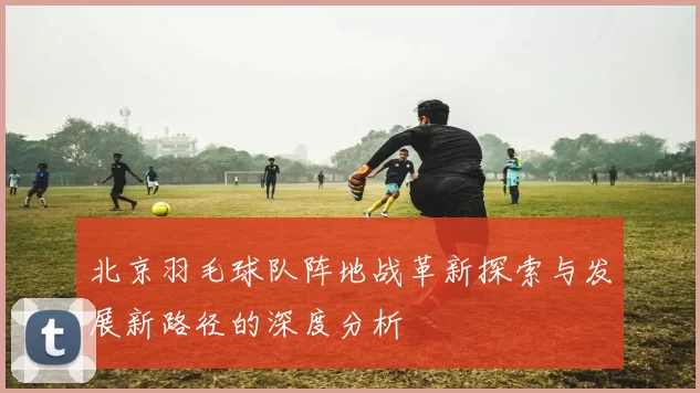 北京羽毛球队阵地战革新探索与发展新路径的深度分析