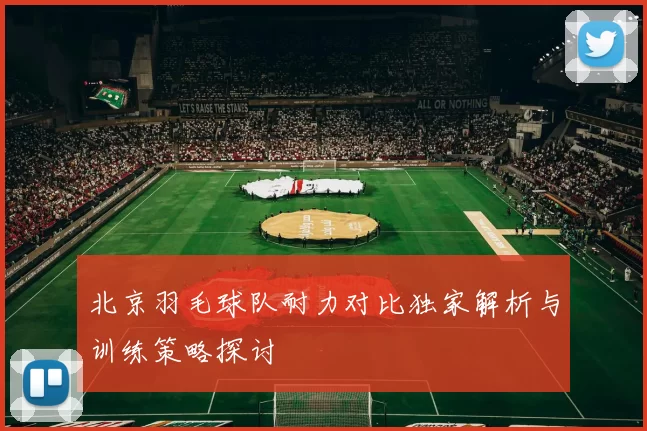 北京羽毛球队耐力对比独家解析与训练策略探讨