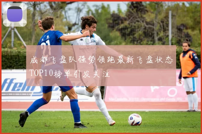 成都飞盘队强势领跑最新飞盘状态TOP10榜单引发关注