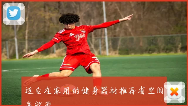 适合在家用的健身器材推荐省空间高效率