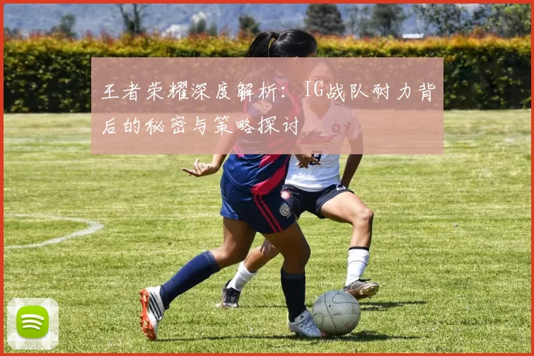 王者荣耀深度解析：IG战队耐力背后的秘密与策略探讨