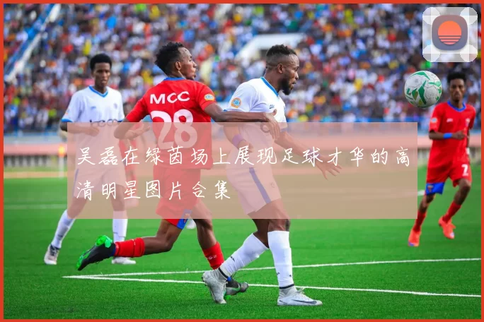 吴磊在绿茵场上展现足球才华的高清明星图片合集