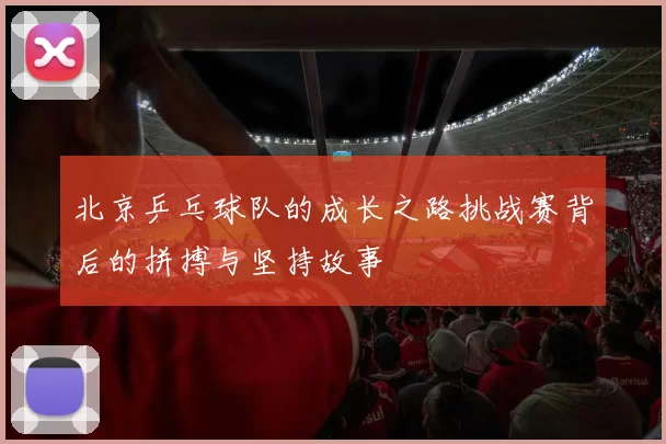 北京乒乓球队的成长之路挑战赛背后的拼搏与坚持故事