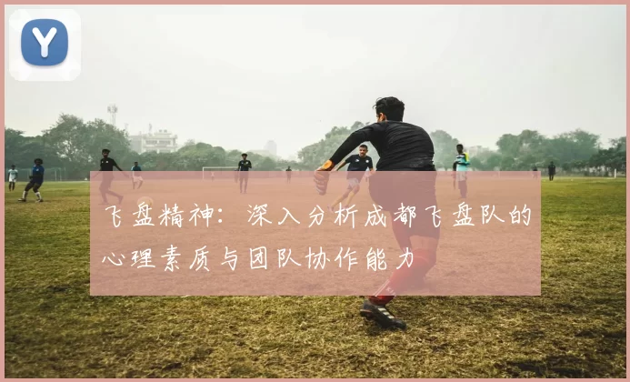 飞盘精神：深入分析成都飞盘队的心理素质与团队协作能力