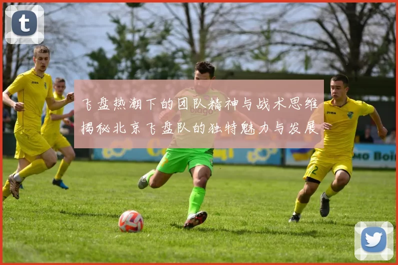 飞盘热潮下的团队精神与战术思维揭秘北京飞盘队的独特魅力与发展之路