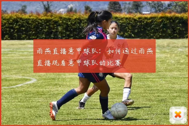 雨燕直播意甲球队：如何通过雨燕直播观看意甲球队的比赛