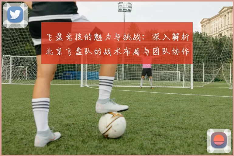 飞盘竞技的魅力与挑战：深入解析北京飞盘队的战术布局与团队协作