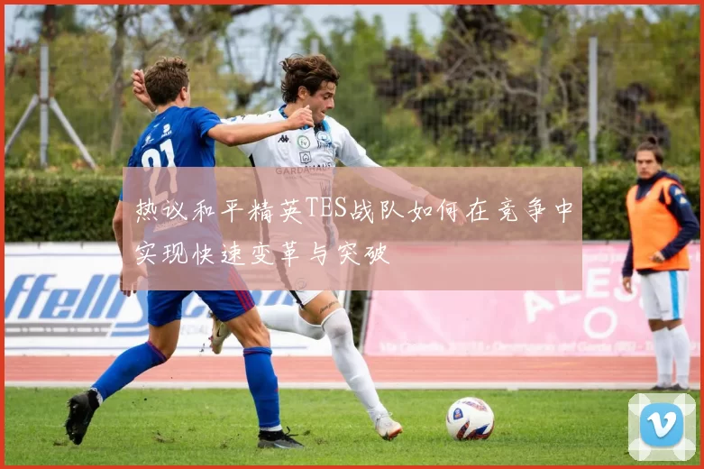 热议和平精英TES战队如何在竞争中实现快速变革与突破