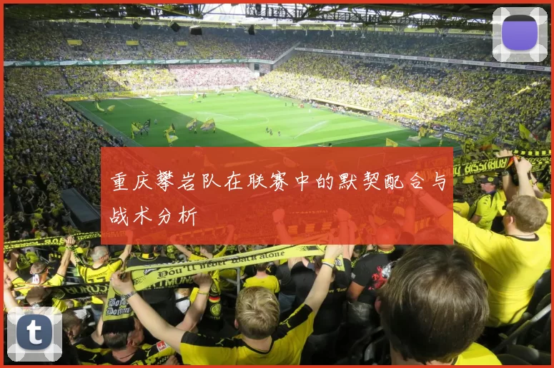 重庆攀岩队在联赛中的默契配合与战术分析