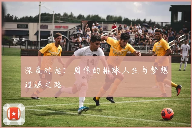 深度对话：周伟的排球人生与梦想追逐之路